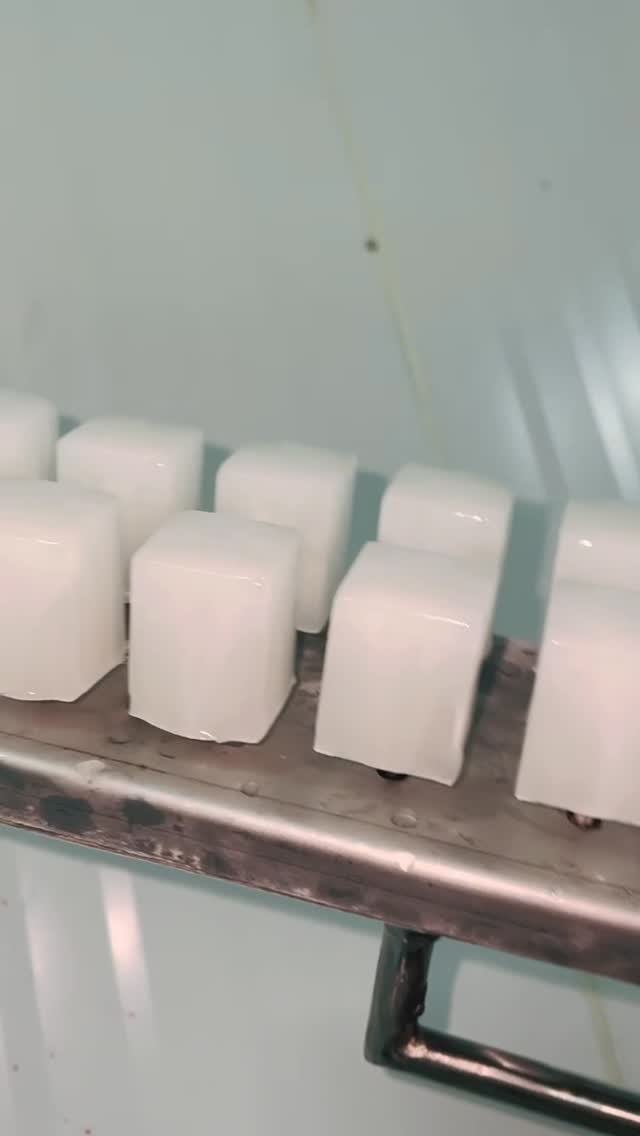 Cubos de gelo